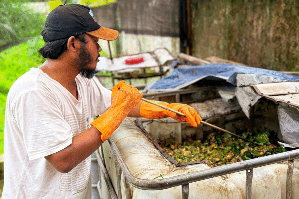 Seorang Dekomposer memeriksa limbah organik di dalam bak pupuk kompos