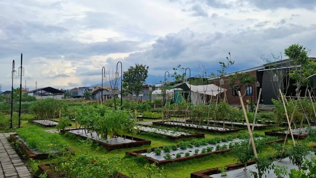 Area kebun urban farming KHACE Kota Malang yang dimanfaatkan untuk menanam berbagai sayuran di lahan perkotaan.